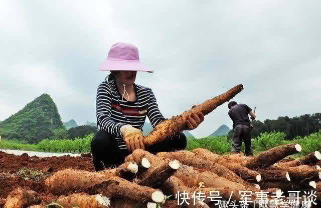 排痰|秋天是身体排痰的好季节，这样做养肺排痰，清除体内垃圾！