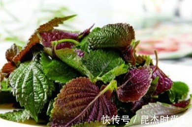 李时珍|这种植物叫做紫苏，对人体的好处多多，在中医历史中影响非凡呢！