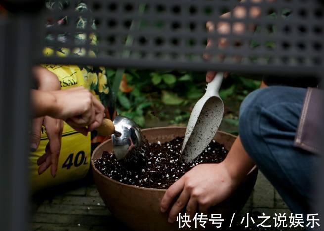 南酸北碱|不是什么土都能养花!30年老花农这样配土,网友发现细节有猫腻