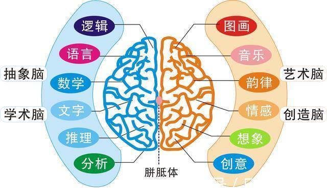 孩子|为啥男孩在某些方面不如女孩?和“开窍晚”有关系,别误会了孩子