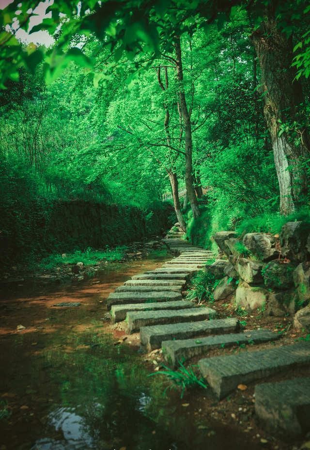 成千上万|峡谷流泉,崖壁盘石,印证了唐宋阶段成千上万大文豪的豪情壮志