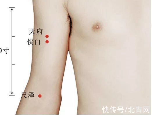 高骨|记住“2条筋”，至少可调37种疾病