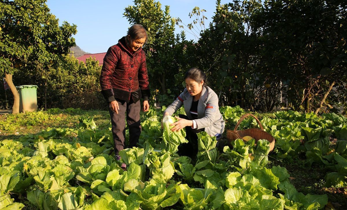 挑剔|85后美女厨娘,选食材很挑剔,小镇上的人都爱吃她做的家常菜