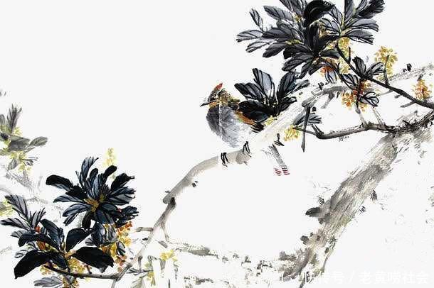 开卷$张九龄被贬后,写下一首诗,成了《唐诗三百首》的开卷之作