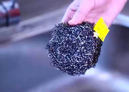 钢丝球放火上烤一烤真厉害，搞定家庭常困扰的难题，早明白就好了