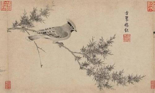 鉴赏｜写生珍禽图，宋代花鸟的典范