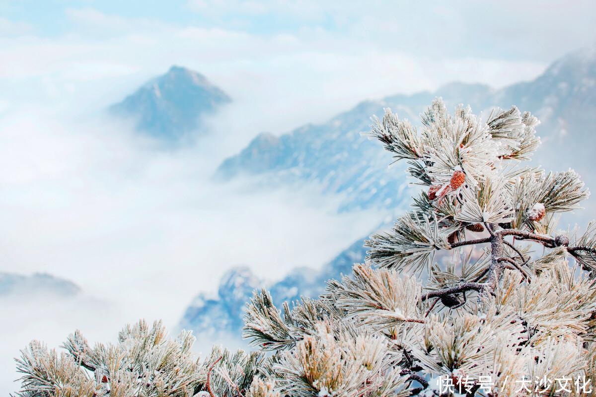 徐霞客曾说：登黄山，天下无山！有这么夸张吗？来过才知道，真的美如画！