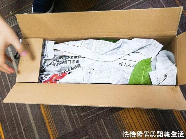 花苞|这花一开就是大半年,枝条沾水就活,根比萝卜还粗