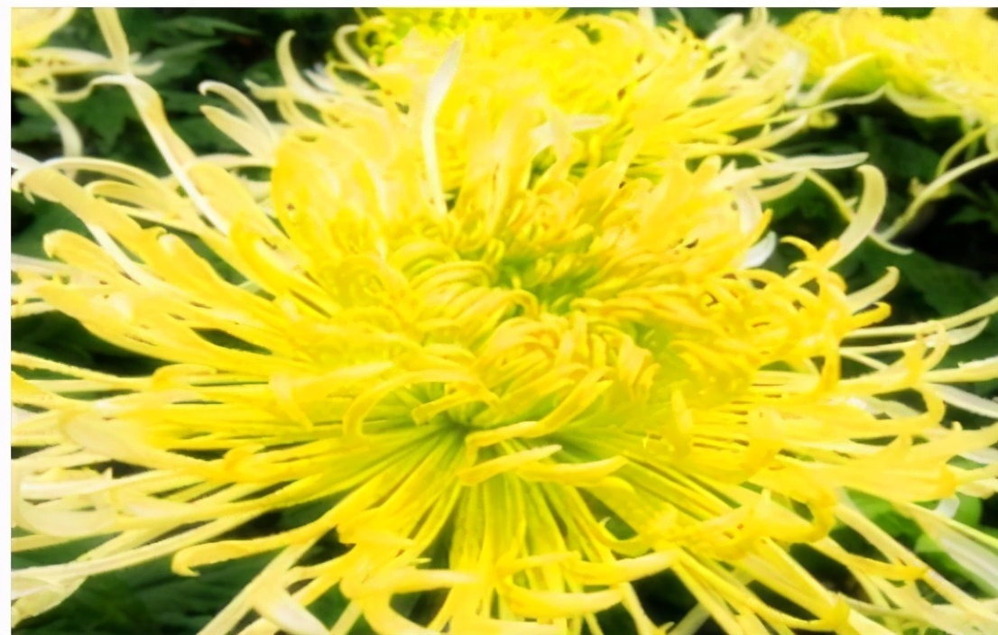 女性不愿老太快,那就多吃3种食物,补充营养,身体棒棒哒!