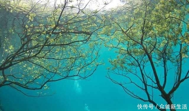 世界上最任性的公园，一言不合就沉入湖底，一年只出现三个月