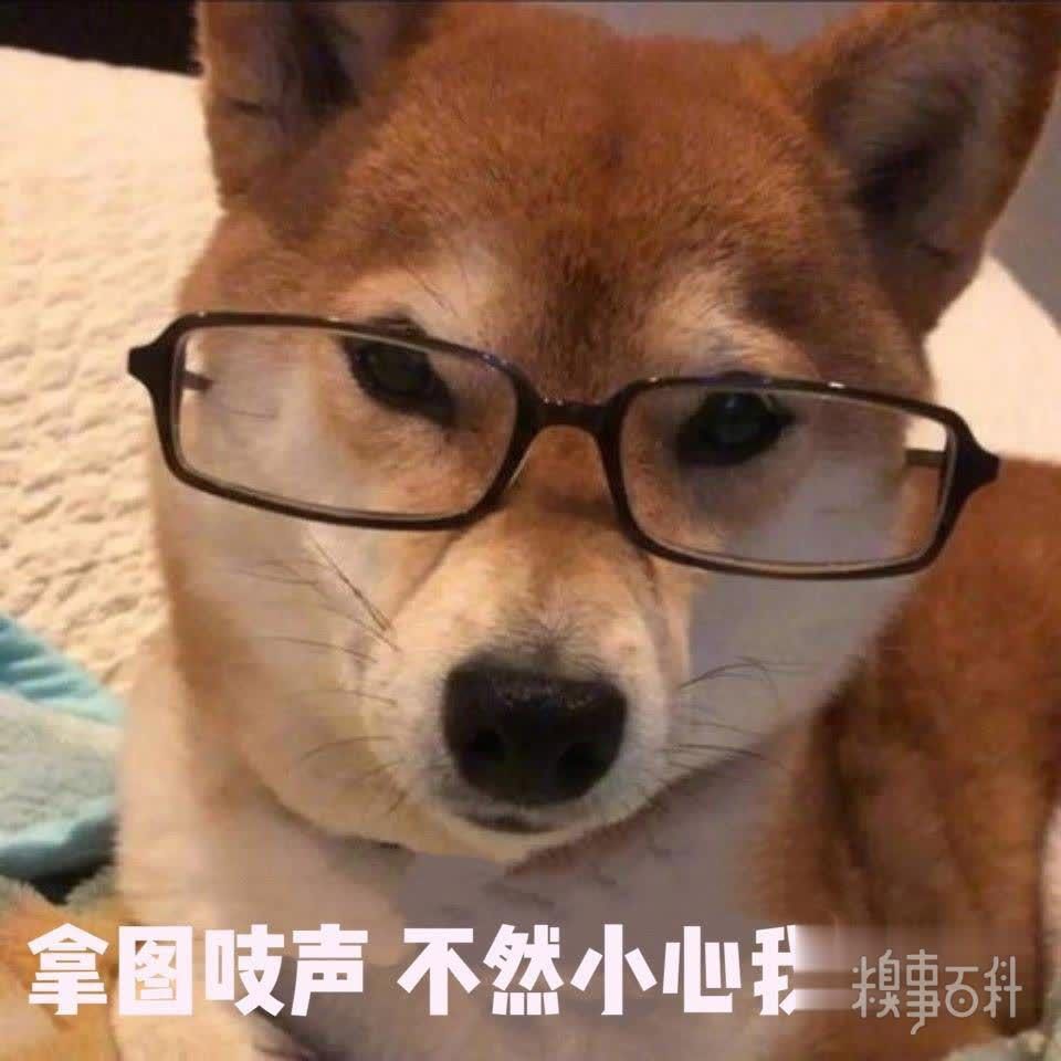 今日份可爱表情包更新，请签收~