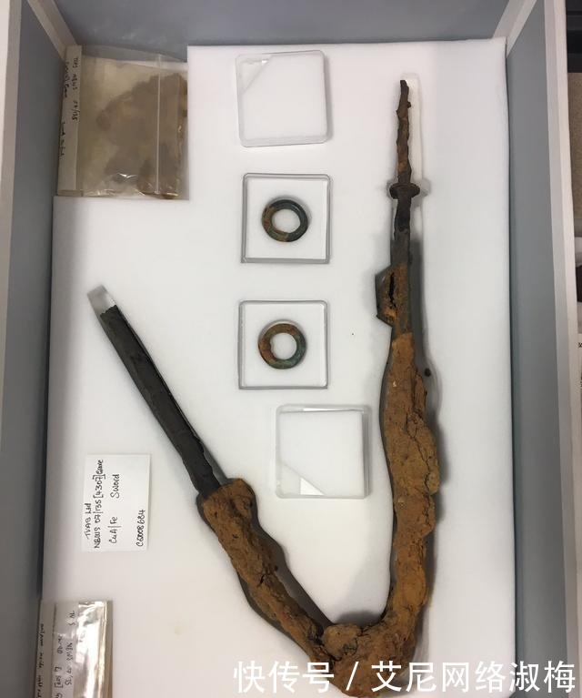 雇佣兵|考古学家挖到“古代雇佣兵”,胳膊与身体分离,随葬品全是武器