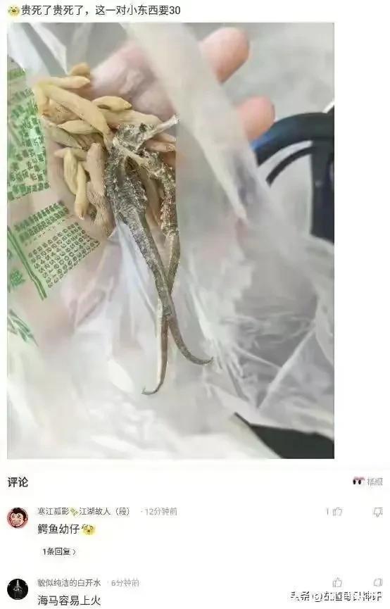 |搞笑神评：和女孩子约会一定要去爬山，坡越陡越好！都是套路啊