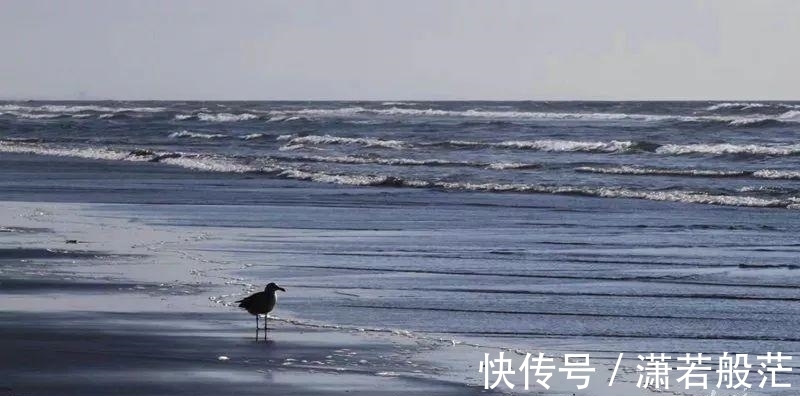 等著我|李嘉誠的“年夜飯”曝光!一頓飯,看出一個家庭的教養(yǎng)丨可讀