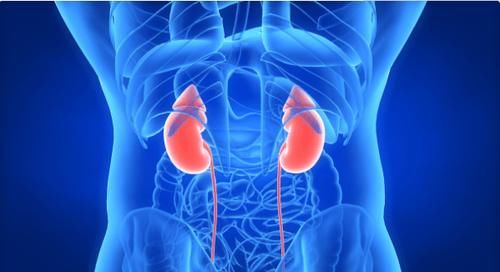 肾功能|32岁小伙肌酐明明不高，却已是肾病3期？这个“误区”别再犯