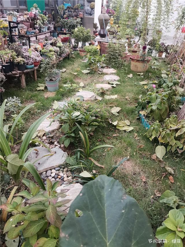 拈花一笑为红颜,无奈雨霾非吾恋