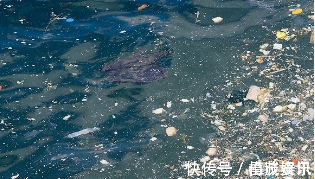 对此事&海滩上“诡异”的墙,无人能在下面待5分钟,设计师太有“心机”