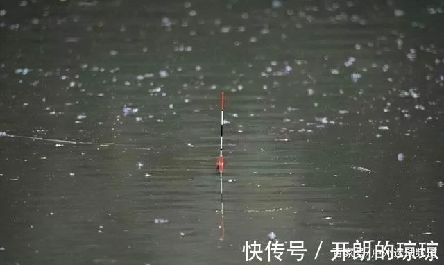 冬天钓鲫鱼,注意这4小和4不钓,按照这些套路来总会爆护!