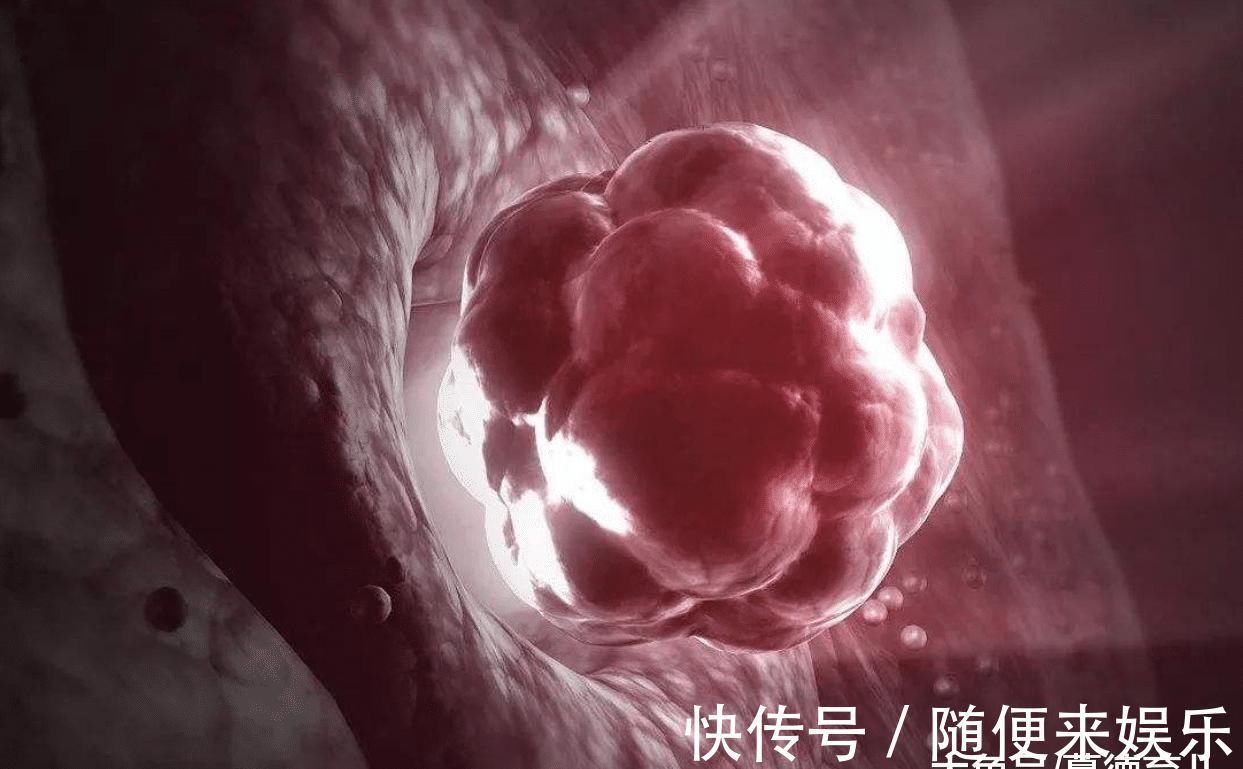 小宝宝|备孕妈妈的身体收到3个信号,说明身体正在排卵,可以迎接小宝宝