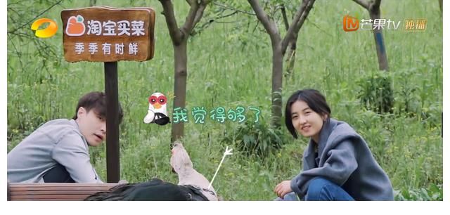 真实|张子枫的真实:融不进去就玩自己的,管你是那英还是梁静