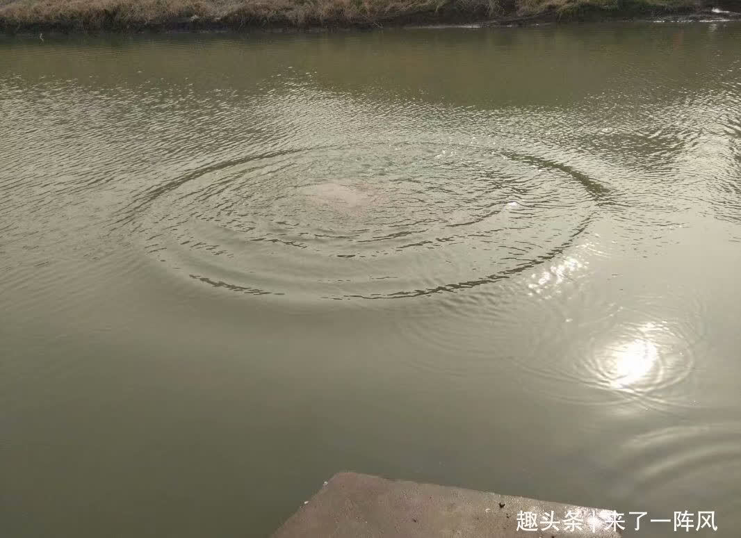 长江禁渔10年,钓鱼人还能钓到鱼吗?听听钓鱼人怎么说?