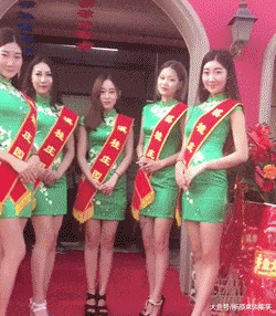 |搞笑GIF:摄影师你别晃了好不好我都看不清