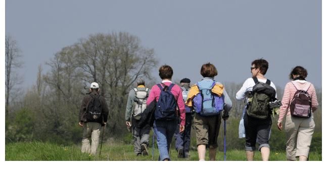 补钙|多走路预防骨质疏松吗?医生:2种食物少吃,或比走路更重要