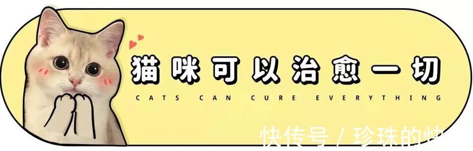 拜年|必存!新年拜年表情包丨第310期热门表情包