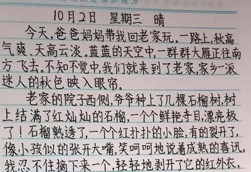 初中生“藤蔓字体”火了，老师看不懂写的是啥，直接扣分没商量