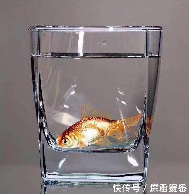 超写实主义@他画了一条金鱼,放大5倍后,网友大呼:相机可以扔了