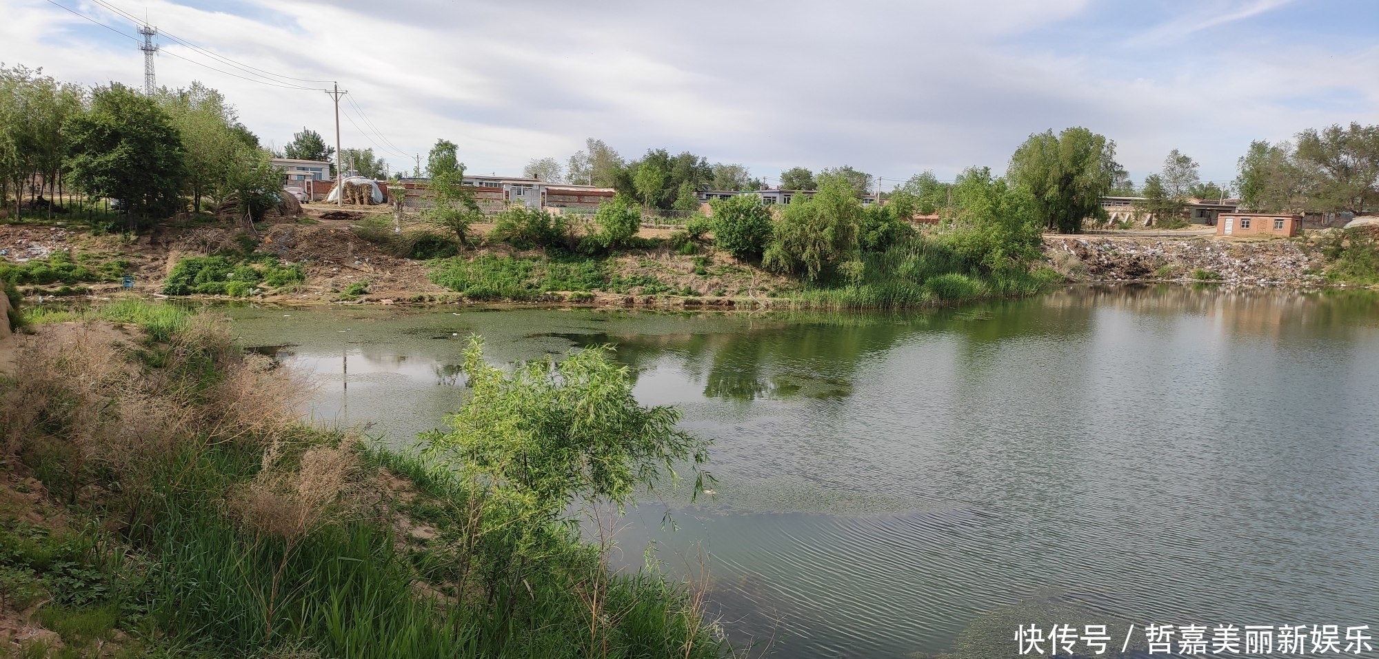 春季野钓大鲫鱼攻略大全,不吹牛,咬钩的都是大板鲫