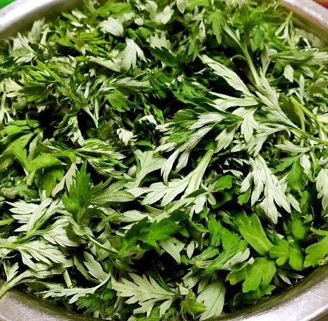 洗头|艾叶,头皮上抹一抹,好处立即找上门,赶快分享给家人