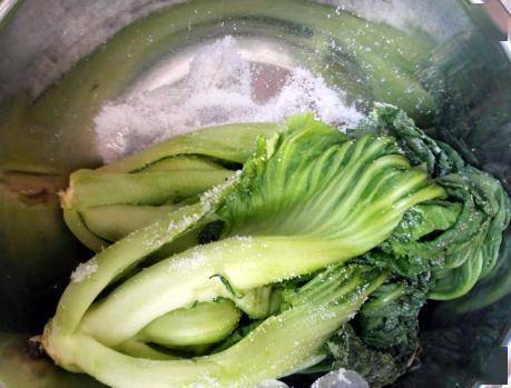 腌酸菜时,有人加开水有人加盐水教你正确做法,一星期就变酸