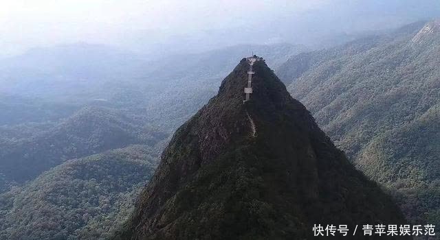 生物多样性丨这片热带雨林告诉你，海南有多美！