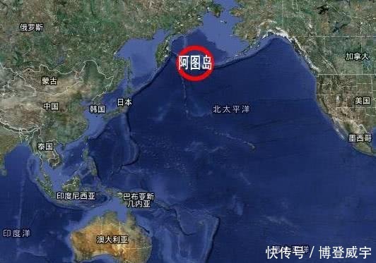 岛上|二战最不可思议的战争，岛上只有3条狗，美军为此死伤300人