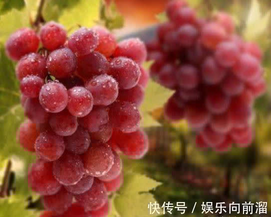 降压|女性中年爱美,推荐多吃几种食物,健胃消食,降压减脂,促进消化