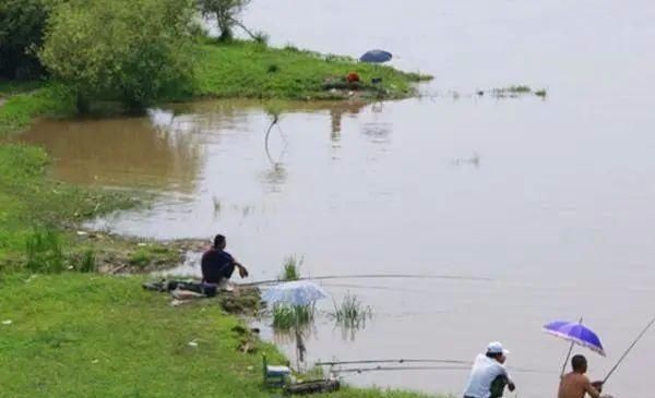 夏季钓黄颡鱼,这两种钓法很实用,钓法得当,渔获差不了