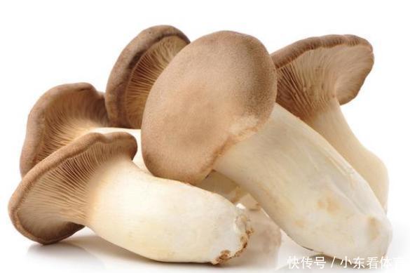 买杏鲍菇，选粗的还是细的行家参考这两招，买到就是赚到