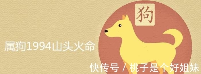 干支犬|“不同出生年”的干支犬，8月的运势分析