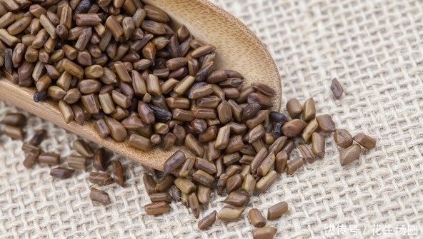 不妨|决明子配“它”,肝脏“保护伞”,老中医:不妨多喝!