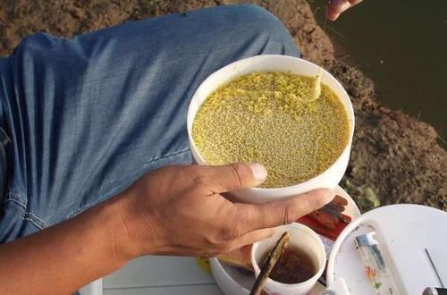 老师傅告诉我用“麦芽糖粘小米钓法”，野钓的鱼获就是不一样