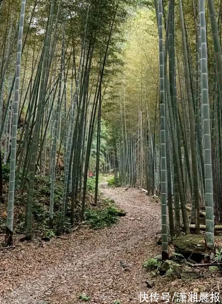 秋天|湖南这座“武功山”，有着最美的秋天草甸