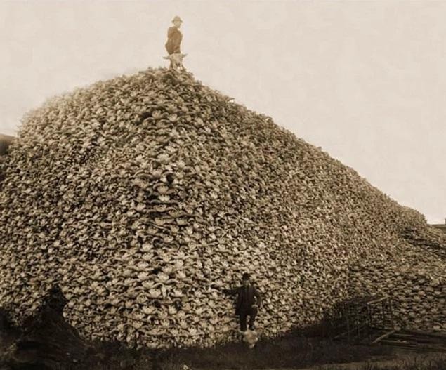 美国|历史上那些让人毛骨悚然的照片—纳粹宣传部长戈培尔的死亡凝视