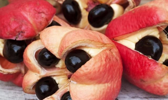 名字|5种名不副实的昂贵水果,吃一口就后悔,网友就名字好听