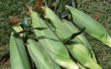 门栓|此物天然的“溶栓剂”,喝水时加点,血液不堵,脑梗不来