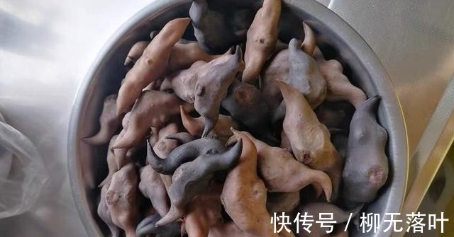 核桃|秋天最该吃的不是栗子，而是它，补血益气营养高，煮着吃真香！