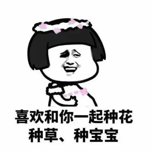 罂粟幼苗竟“撞脸”多种蔬菜！快来看看如何识别~