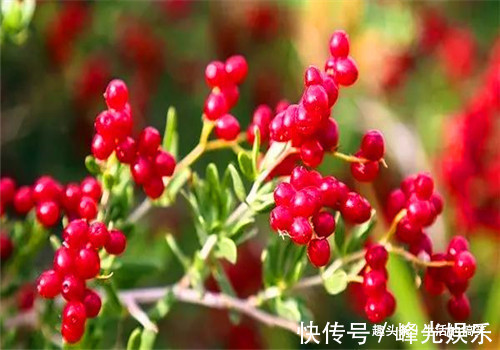 肝阳|冬天女性可以坚持吃4种食物,排毒护肤,清热排毒,滋养女性子宫