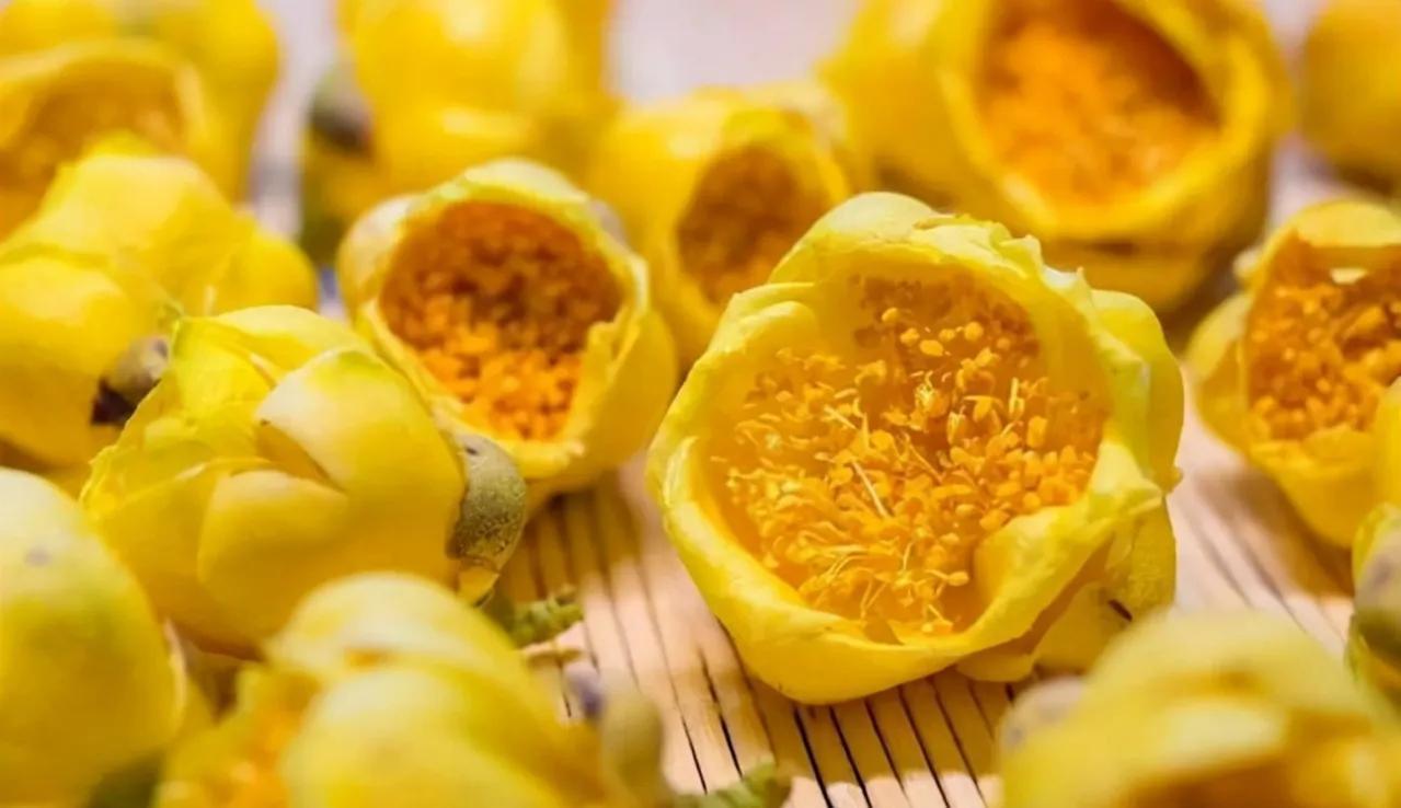 此茶花被誉为植物熊猫,花瓣金黄,营养丰富,有钱也难买