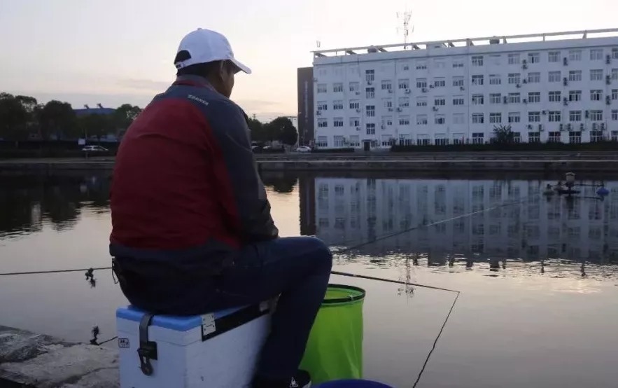 垂钓|冬天鲫鱼不好钓?教你个新办法,专攻冬天的鲫鱼